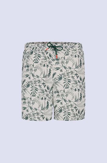 Picture of Printalf Shorts