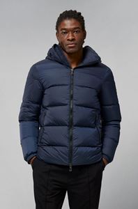 Picture of Barrell Down jacket
