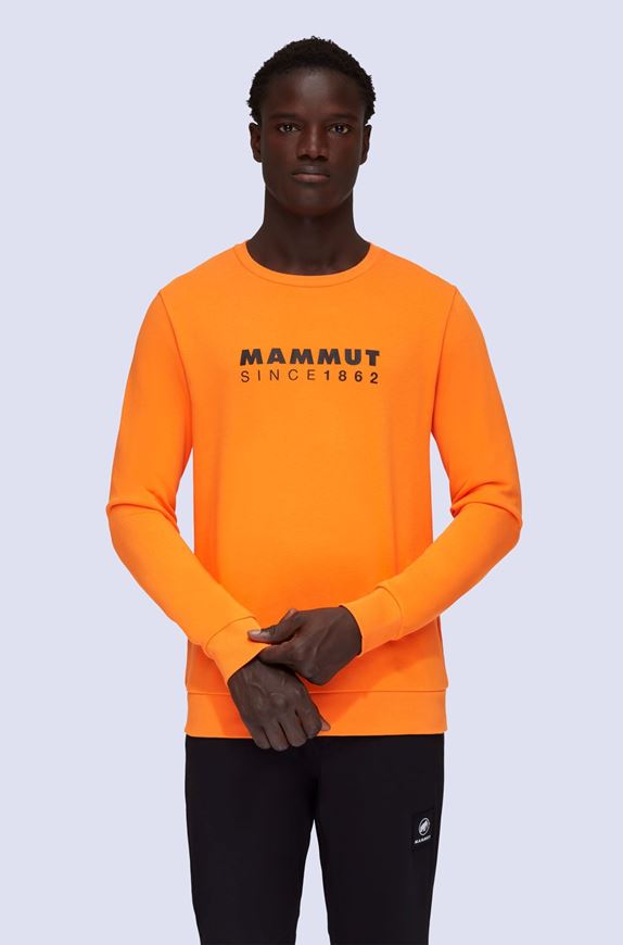 Mammut Core Playground pullover Grün Dressinn